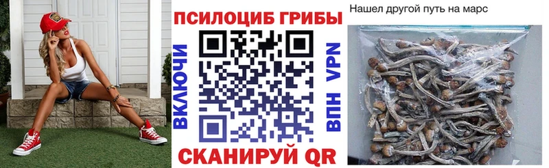 Галлюциногенные грибы прущие грибы  Суздаль 